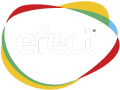 efect